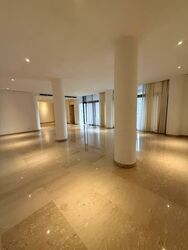 The Colonnade (D10), Condominium #578712661